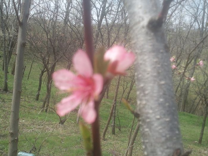 2014-04-03 13.56.37