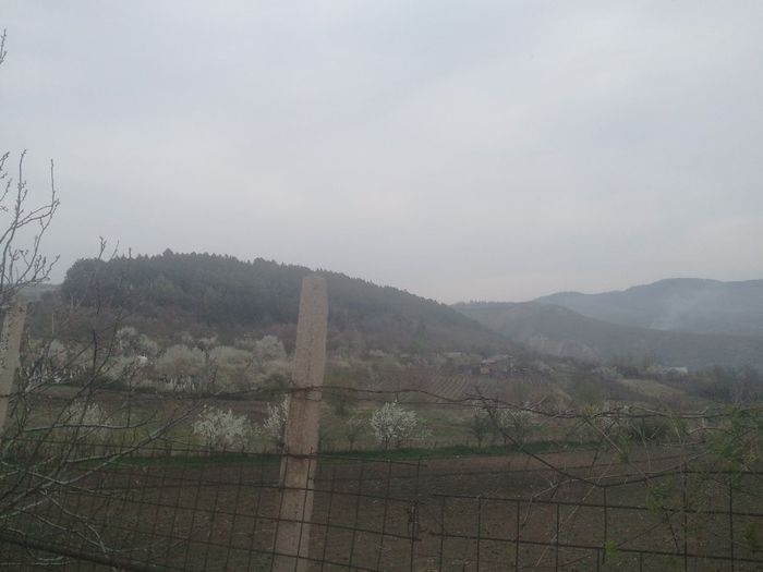 2014-04-04 09.20.55