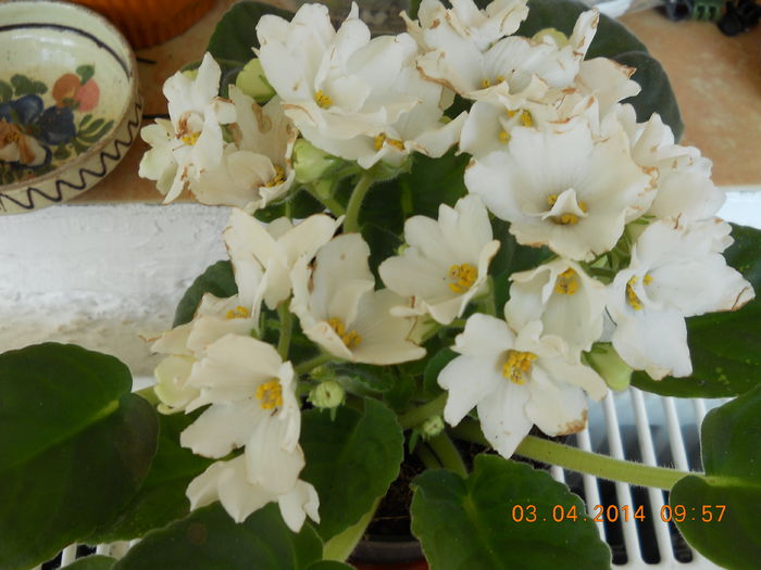 023 - ACHIZITII 2014