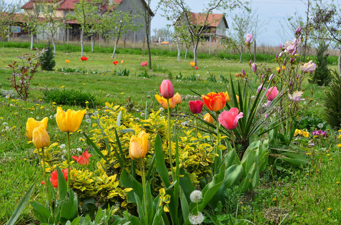 DSC_0442 - 06 Aprilie 2014