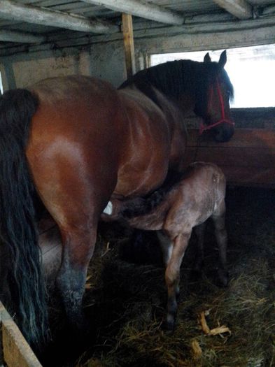 IMG_20140405_102043; o zi dupa nastere
