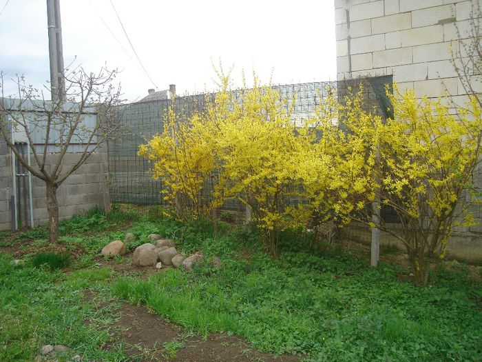 DSC00175