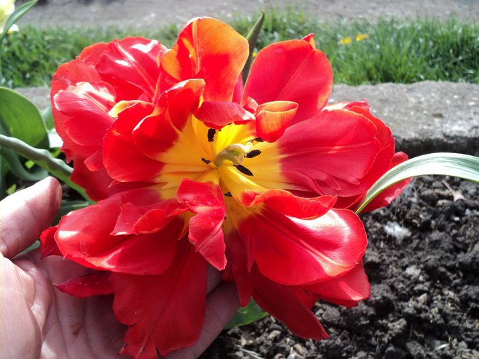 Copy (2) of DSC04180