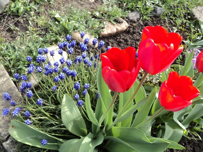 Copy (2) of DSC04181