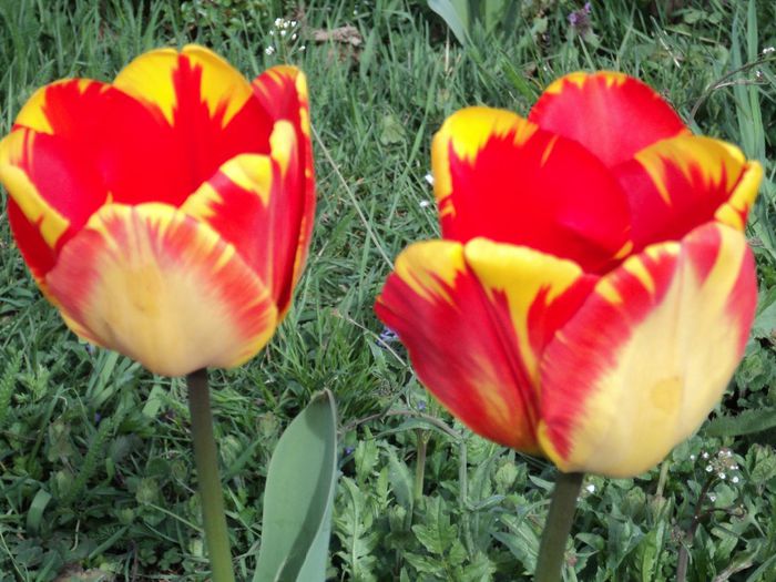 Copy (2) of DSC04188