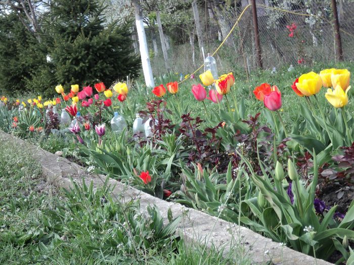 Copy (2) of DSC04190