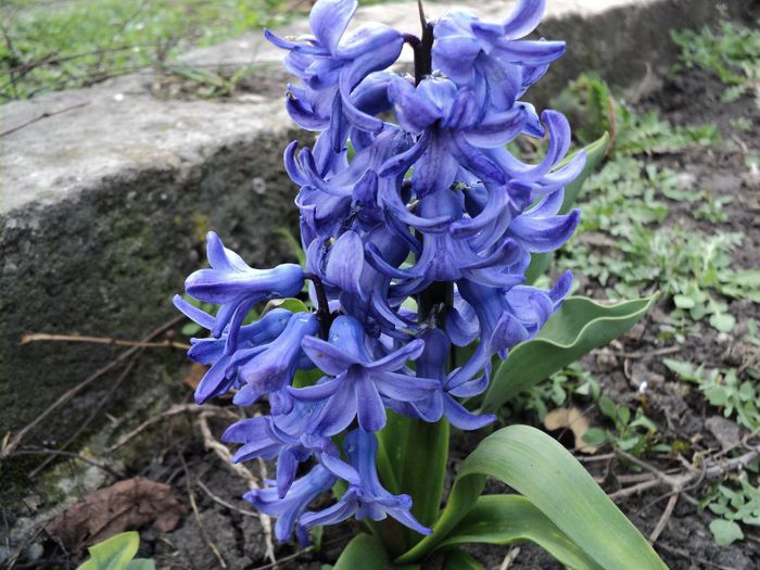 Copy (3) of DSC04171