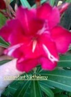 94816579_NRWGZBT - 2014 achizitii