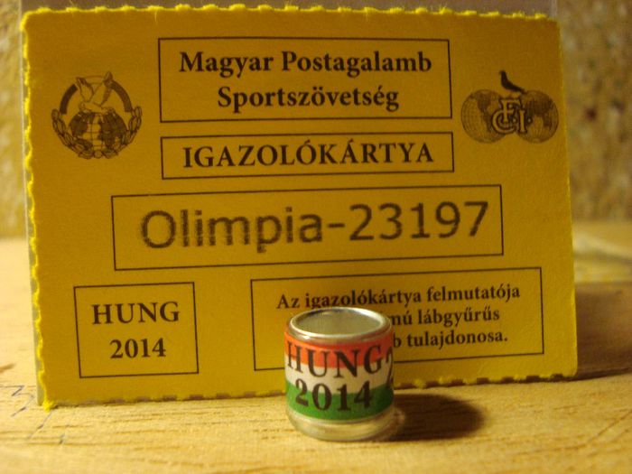 OLIMPIA HUNG 2O14 - UNGARIA
