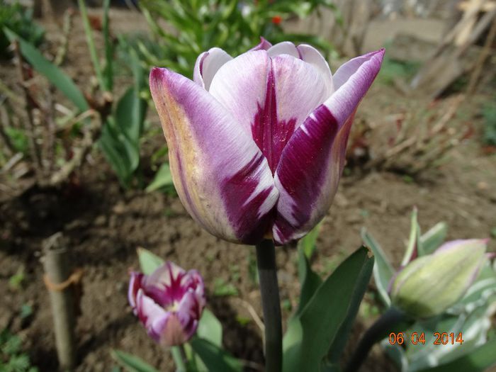 DSC01575