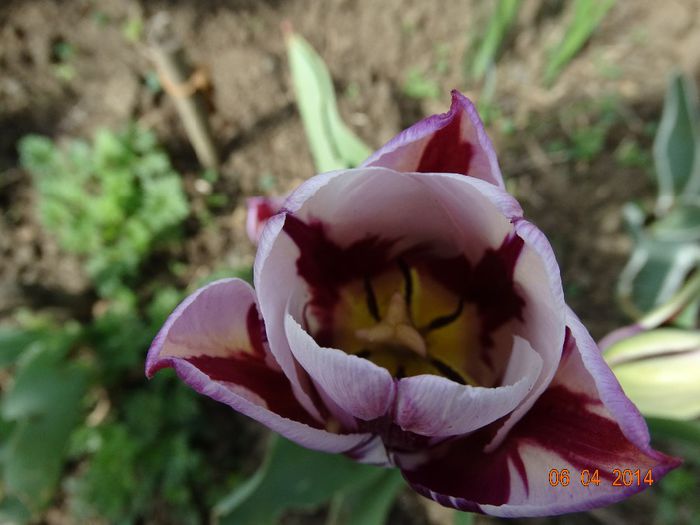 DSC01574