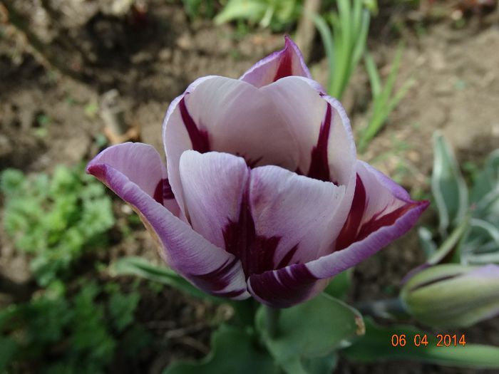 DSC01573
