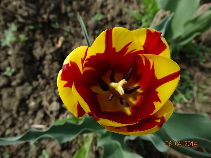 DSC01570