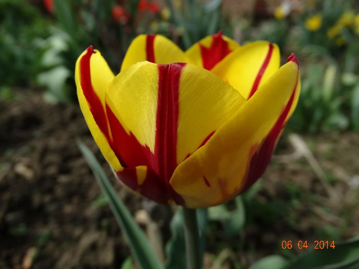 DSC01569