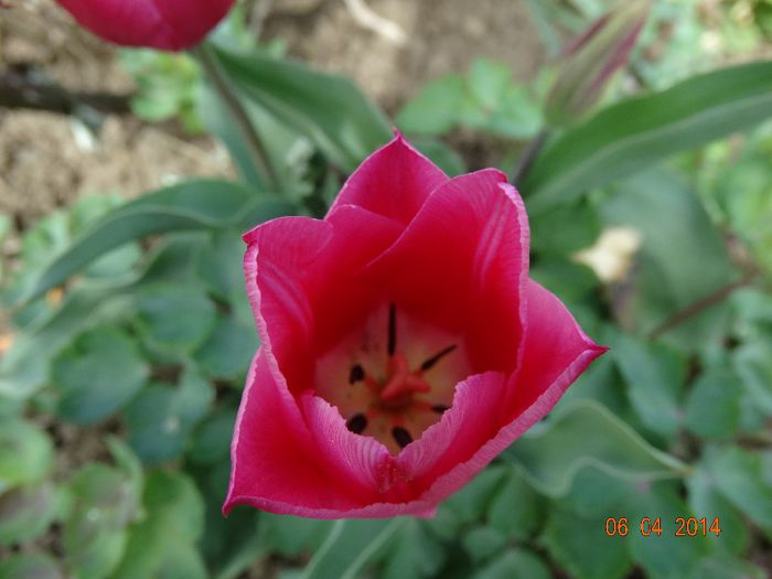 DSC01556