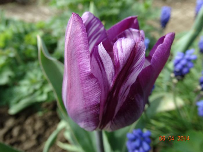 DSC01554