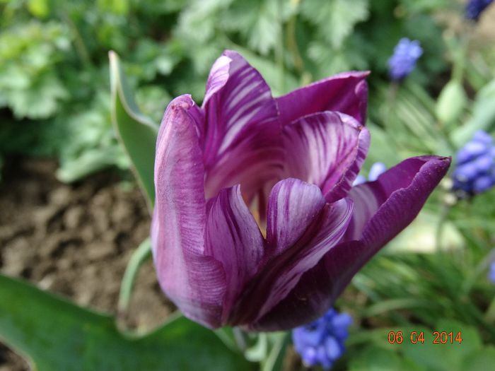 DSC01553