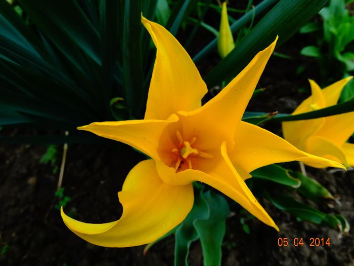 DSC01541