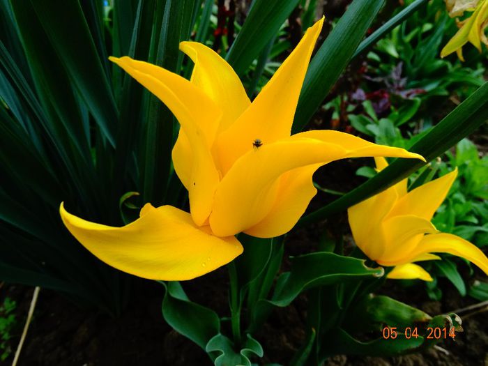DSC01540