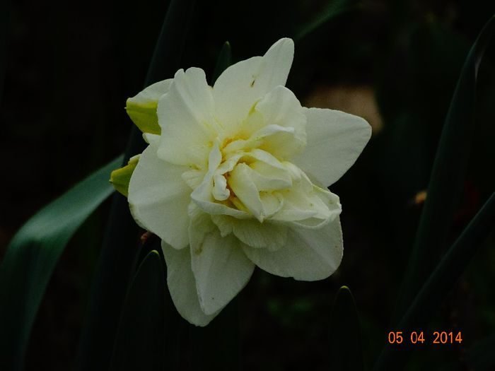 DSC01511