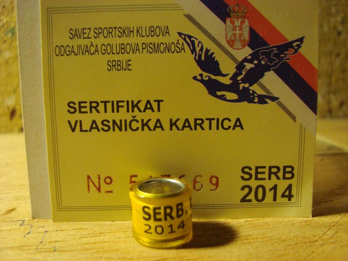 SERB. 2014 - SERBIA