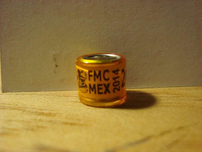 MEX 2O14 FMC - MEXICO