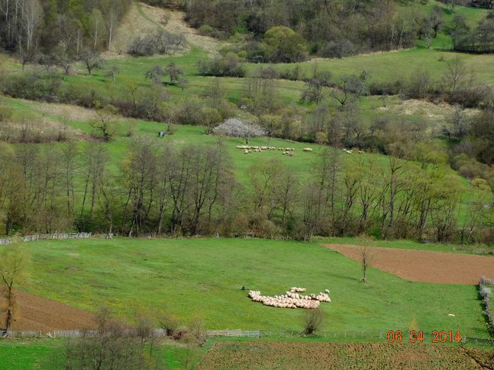 DSC01669 - Peisaje 2014 si alte imagini