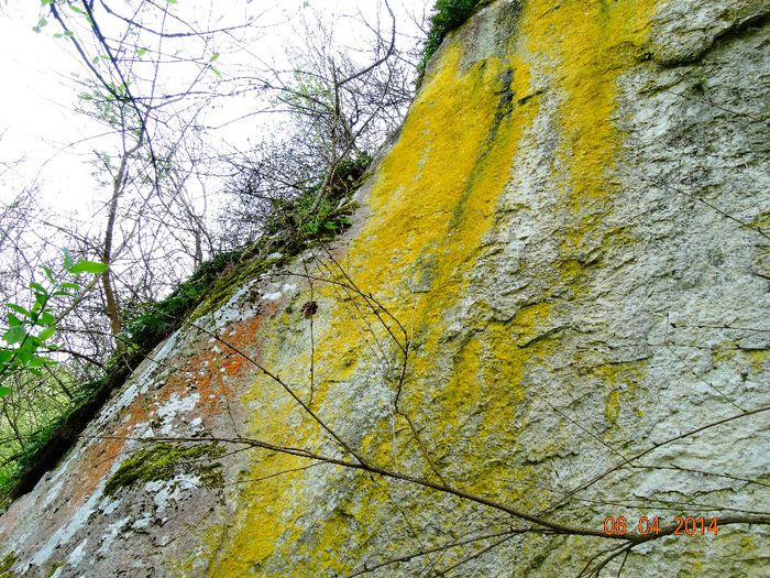 DSC01639 - Peisaje 2014 si alte imagini