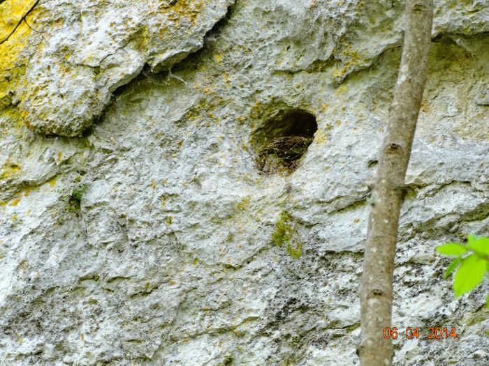 DSC01637 - Peisaje 2014 si alte imagini