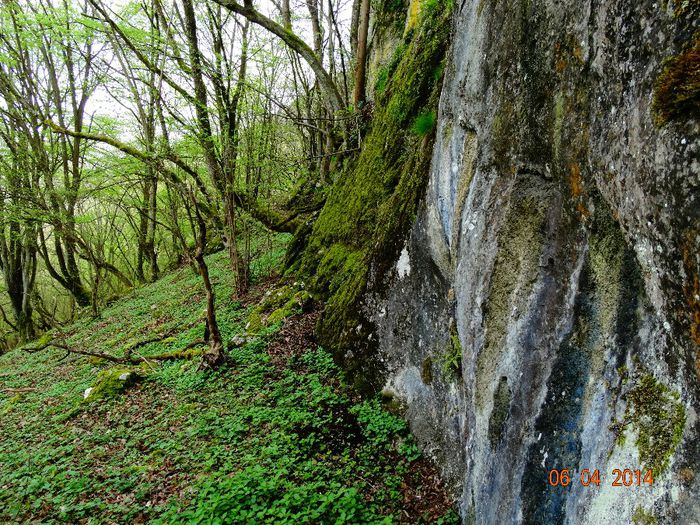 DSC01629 - Peisaje 2014 si alte imagini