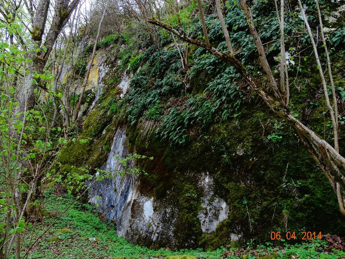 DSC01628 - Peisaje 2014 si alte imagini