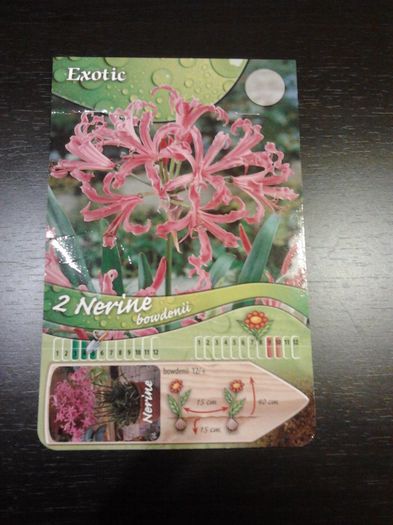 NERINE - achizitii