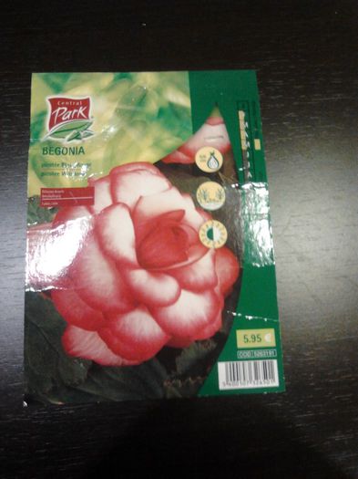 BEGONIE