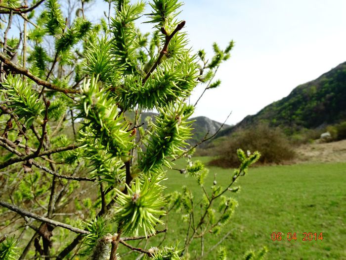 DSC01678