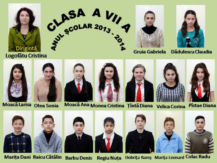 2Ai mei - 6 oliv - Clasa a VII a 2013 - 2014