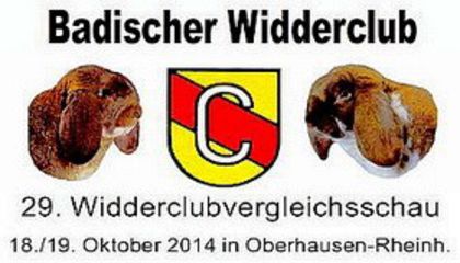 29_wcvs_baden_2014 - 7-anunt important