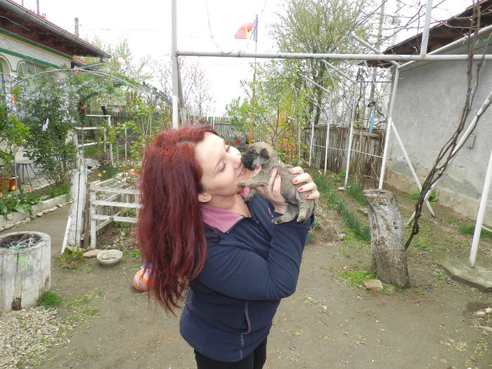 DORITI 1? NOI VA DAM 5:)) - EU-MEME