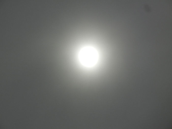 Spring Sun (2014, March 25)