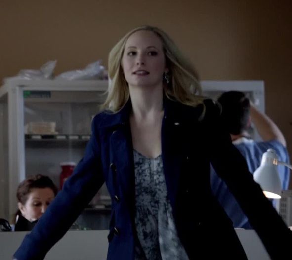 ᵔᴥᵔ -- baack :o3