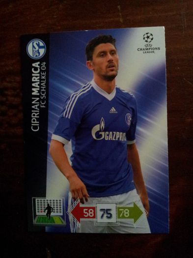 12-13 Schalke CL Card