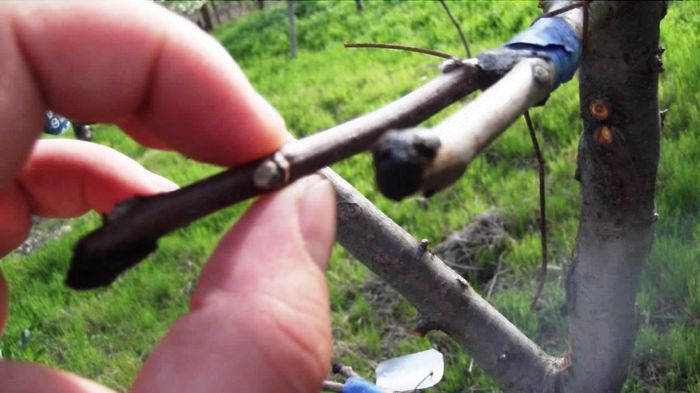 mai multe soiuri de mar pe mar; de data asta este mar pe mar
