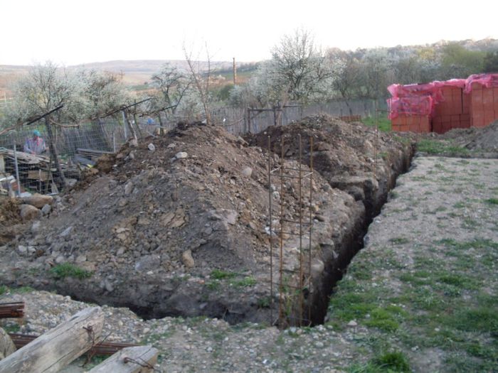 AMI CONSTRUIESC PROPRIA VOLIERA - de la A la Z CASA DE LA TARA