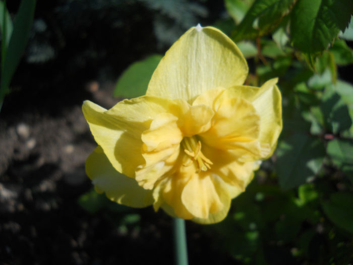 DSCN1078_015
