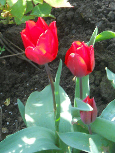 DSCN1084_021
