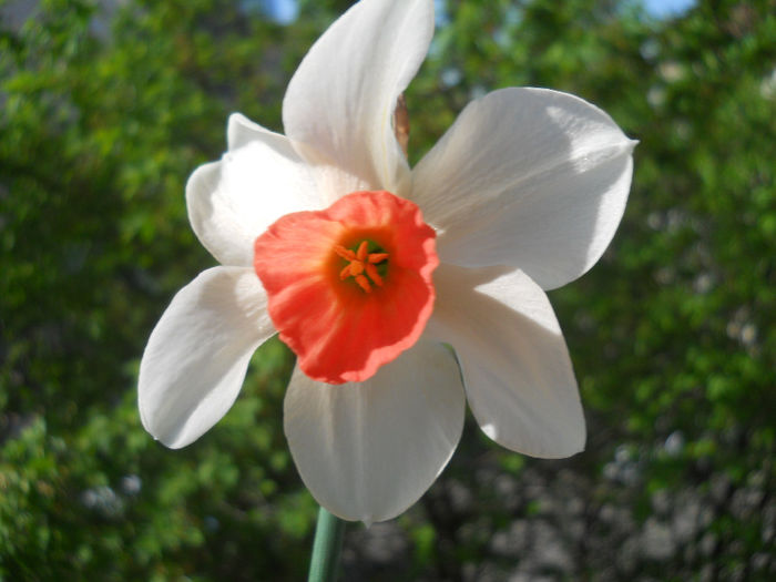 DSCN1094_031