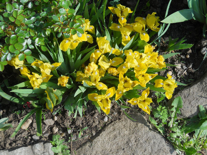 DSCN1109_046