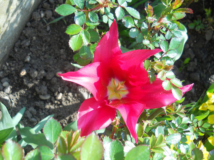 DSCN1111_048