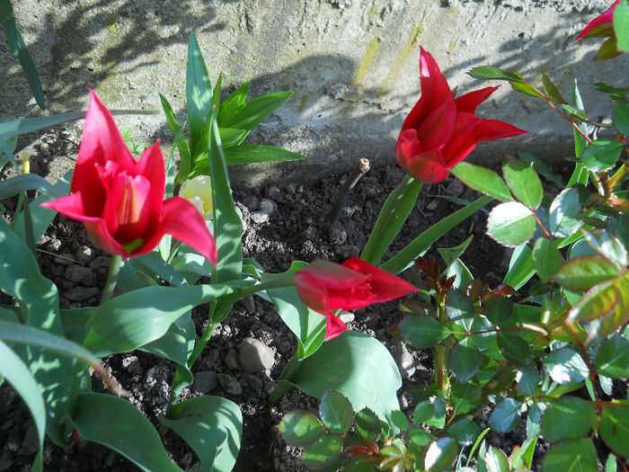 DSCN1112_049