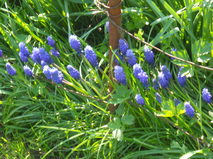 DSCN1118_055