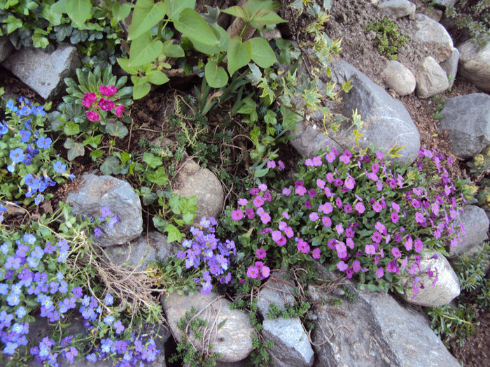 DSC02711 - Stancarie
